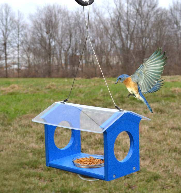 Recycled Plastic Bluebird Canteen Mealworm Feeder
